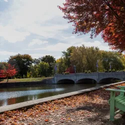 Downtown Guelph - Guelph