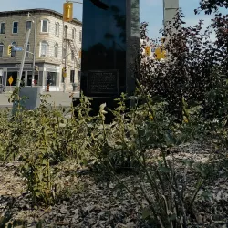 Downtown Guelph - Guelph