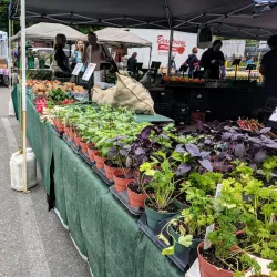 Guelph Farmers' Market - Guelph