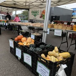 Guelph Farmers' Market - Guelph