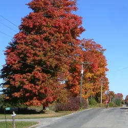 Guelph Lake Conservation Area - Guelph