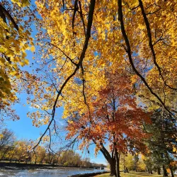 Royal City Park - Guelph