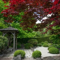 University of Guelph Arboretum - Guelph