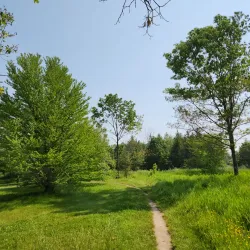 University of Guelph Arboretum - Guelph