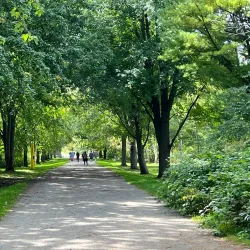 University of Guelph Arboretum - Guelph
