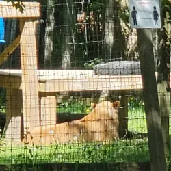 Haldimand County Trails - Hagersville