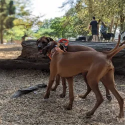 Normandale Park - Hagersville