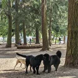 Normandale Park - Hagersville