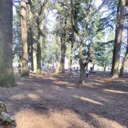 Normandale Park - Hagersville