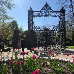 Public Gardens - Halifax