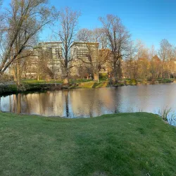 Public Gardens - Halifax