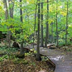 Silver Creek Conservation Area - Halton Hills