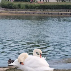 Bayfront Park - Hamilton