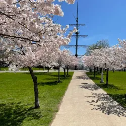 Bayfront Park - Hamilton