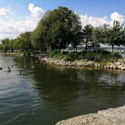 Pier 4 Park - Hamilton