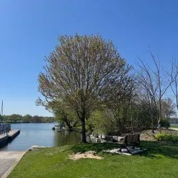 Pier 4 Park - Hamilton