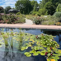 Royal Botanical Gardens - Hamilton