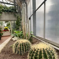 Royal Botanical Gardens - Hamilton