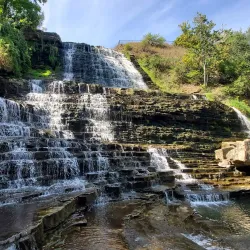 Waterfalls of Hamilton - Hamilton