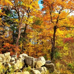 Waterfalls of Hamilton - Hamilton