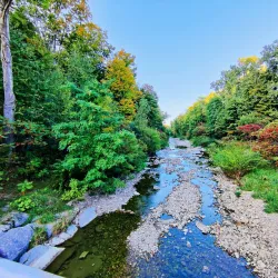 Waterfalls of Hamilton - Hamilton