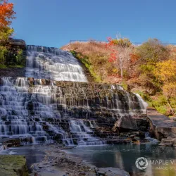 Waterfalls of Hamilton - Hamilton