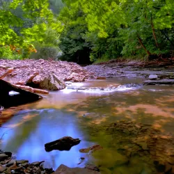 Waterfalls of Hamilton - Hamilton