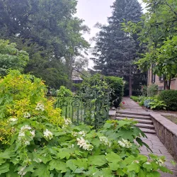 Whitehern Historic House and Garden - Hamilton