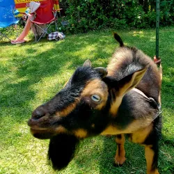 Hammond Historical Museum - Hammond