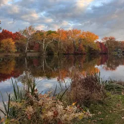 Lakeside Picnic Area - Hammond
