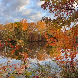 Lakeside Picnic Area - Hammond