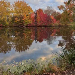 Lakeside Picnic Area - Hammond