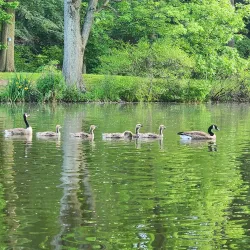 Lakeside Picnic Area - Hammond