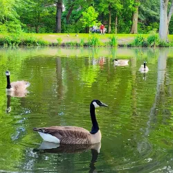 Lakeside Picnic Area - Hammond