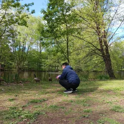 Lakeside Picnic Area - Hammond