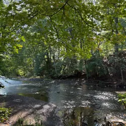 Lakeside Picnic Area - Hammond