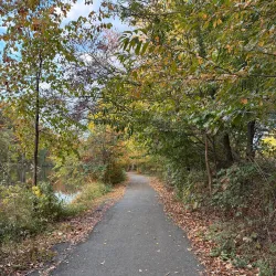 Lakeside Picnic Area - Hammond