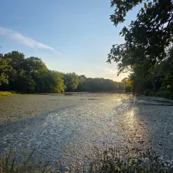 Lakeside Picnic Area - Hammond