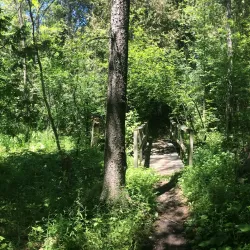 Maplewood Trail - Hammond