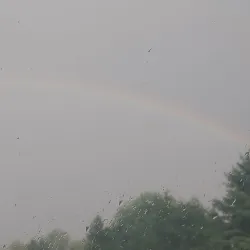 Maplewood Trail - Hammond