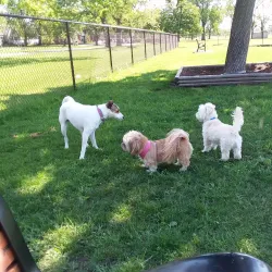 Riverside Park - Hammond