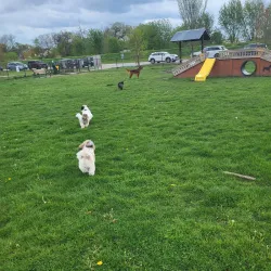 Riverside Park - Hammond