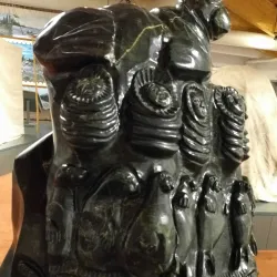 Labrador Interpretation Centre - Happy Valley-Goose Bay