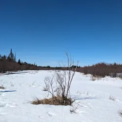 Labrador West Trails - Happy Valley-Goose Bay