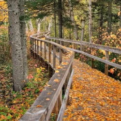 Labrador West Trails - Happy Valley-Goose Bay