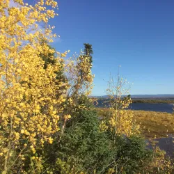 Lake Melville - Happy Valley-Goose Bay