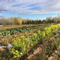 Lake Melville - Happy Valley-Goose Bay