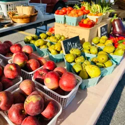 Hawkesbury Farmers' Market - Hawkesbury