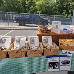 Hawkesbury Farmers' Market - Hawkesbury