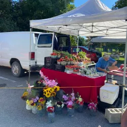 Hawkesbury Farmers' Market - Hawkesbury